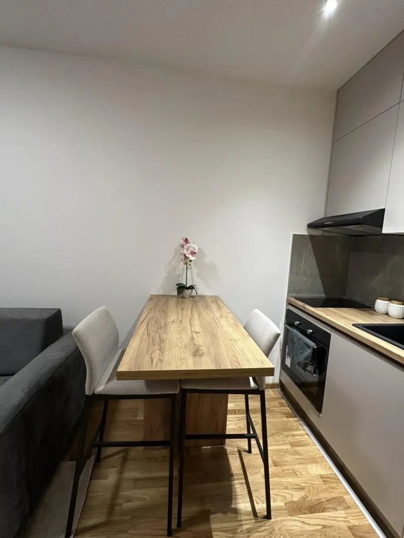 Rent, studio apartment, 26m², Zabjelo, Podgorica
