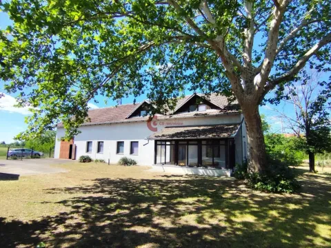 Prodaja, kuća, 880m², Bački Vinogradi, Subotica - image 37