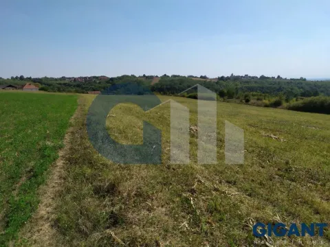 Prodaja, plac, 5000m², Nenadovac, Barajevo - image 15