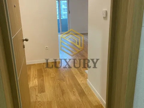 Izdavanje, jednosoban stan, 40m², Central Point, Podgorica - image 1