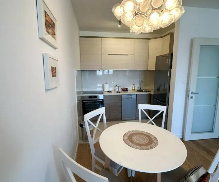 Izdavanje, jednosoban stan, 49m², Central Point, Podgorica