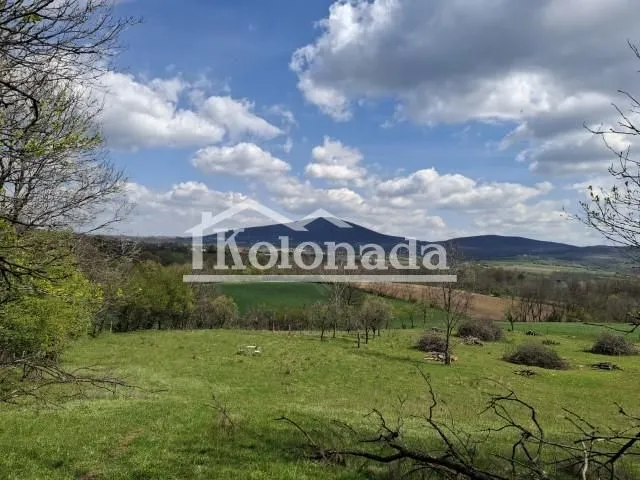 Prodaja, plac, 4000m², Sopot, Beograd