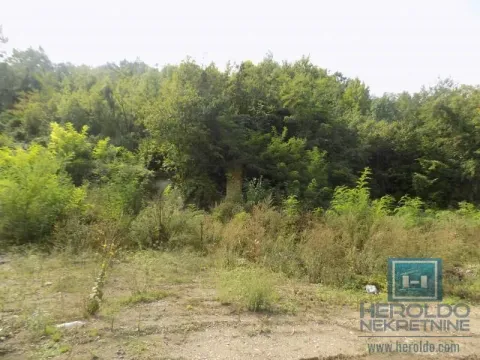 View of a plot overgrown with vegetation and forest. - image 4