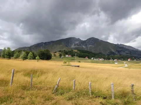 Prodaja, plac, 450m², Centar, Žabljak - image 6