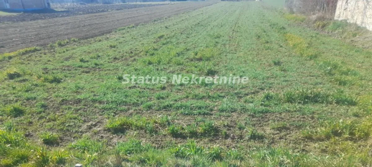 Prodaja, plac, 1479m², Begeč, Novi Sad Sve Podlokacije