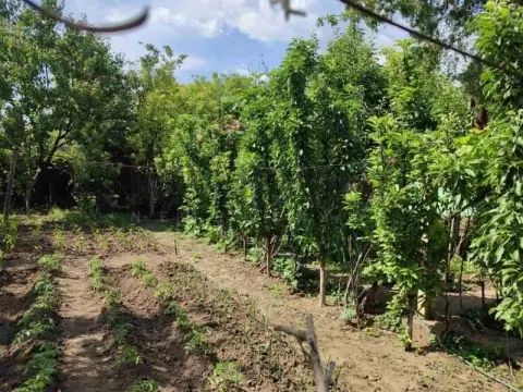 Prodaja, kuća, 70m², Kudeljarski Nasip, Pančevo - image 18