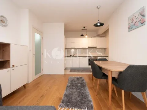 Izdavanje, jednosoban stan, 53m², Central Point, Podgorica - image 3