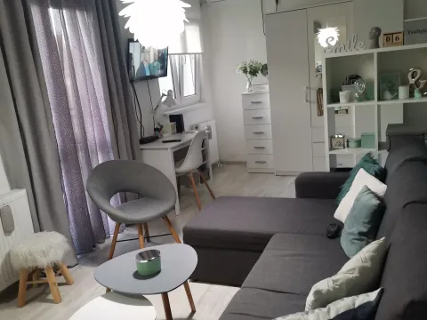 Rent, one bedroom apartment, 32m², Stari grad, Novi Sad - image 7