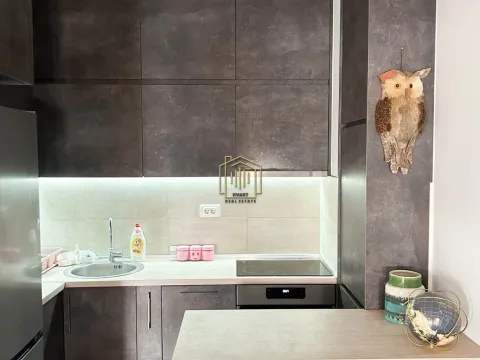 Rent, one bedroom apartment, 44m², City Kej, Podgorica - image 11