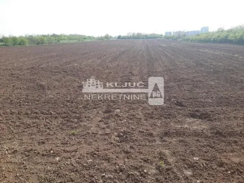 Prodaja, plac, 600m², Žarkovo, Beograd - image 4