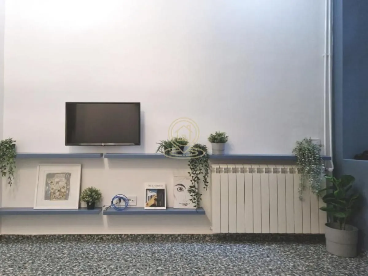 Rent, one bedroom apartment, 21m², Kalenić Pijaca, Vračar Sve Podlokacije