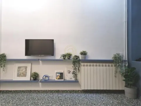 Rent, one bedroom apartment, 21m², Kalenić Pijaca, Vračar Sve Podlokacije - image 7