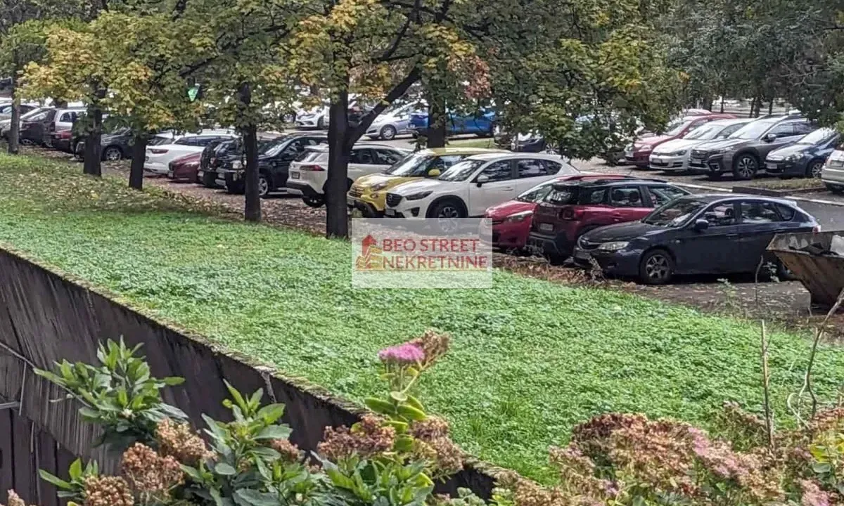 Izdavanje, poslovni prostor, 250m², Beograd, Srbija