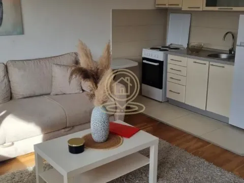 Izdavanje, dvosoban stan, 54m², Stari Grad, Beograd - image 3