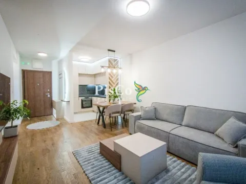 Izdavanje, jednosoban stan, 47m², Stari Aerodrom, Podgorica - image 5