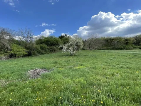 Sale, land lot, 3104m², Ribnjak, Petrovaradin - image 2