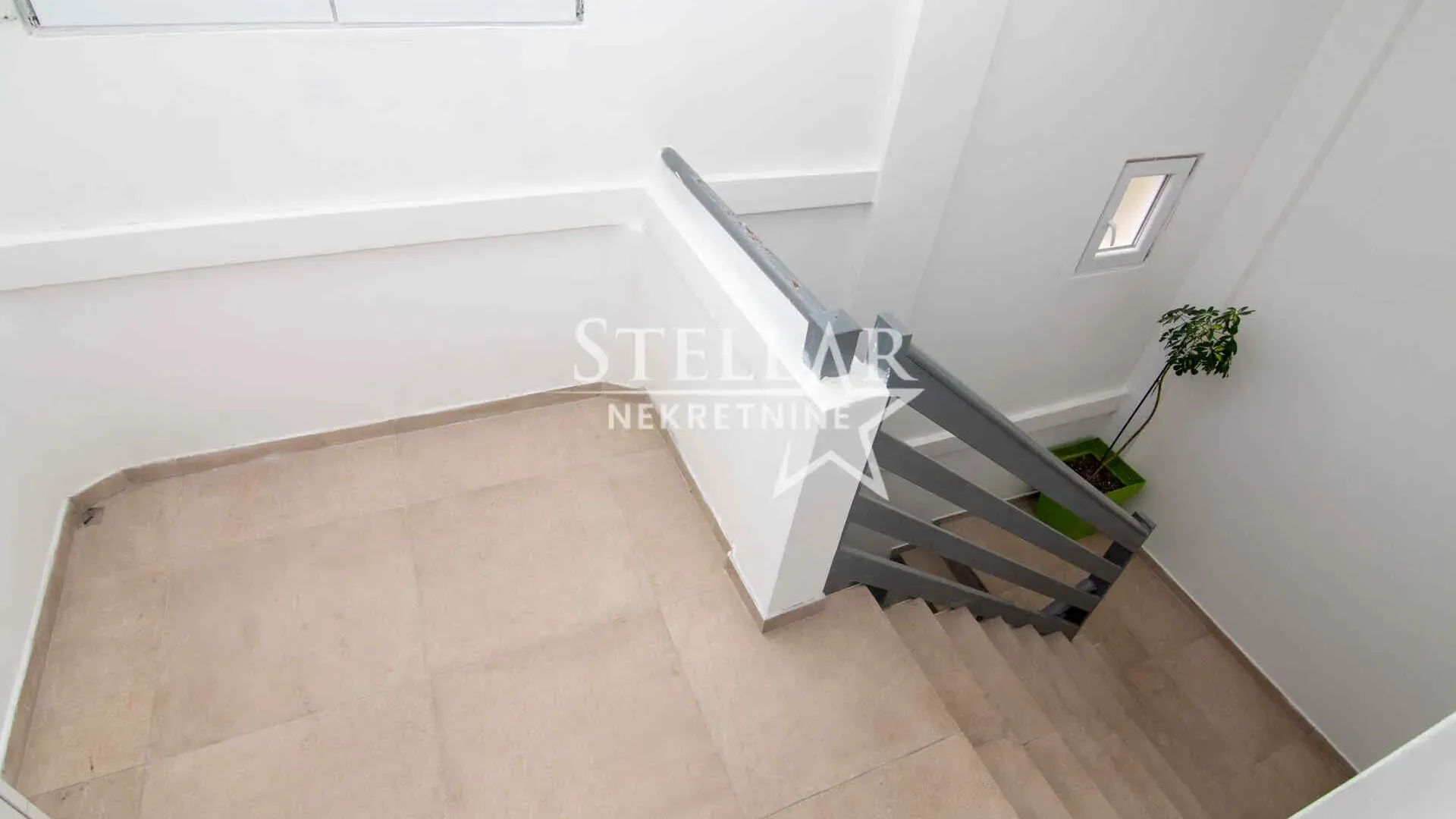 Rent, house, 300m², Donji Kokoti, Podgorica