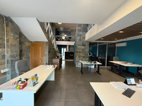 Izdavanje, poslovni prostor, 245m², Krivi Most, Podgorica - image 2