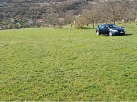 Sale, land lot, 3600m², Miločani, Nikšić - image 3
