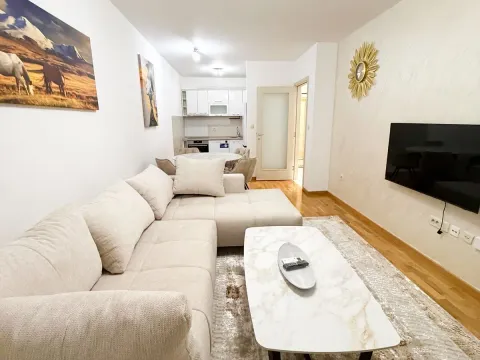 Rent, one bedroom apartment, 46m², Zagorič, Podgorica - image 1