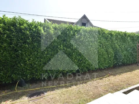 Izdavanje, kuća, 250m², Zagorič, Podgorica - image 33