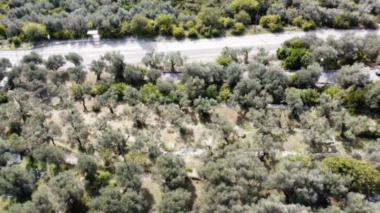Prodaja, plac, 1700m², Reževići, Budva