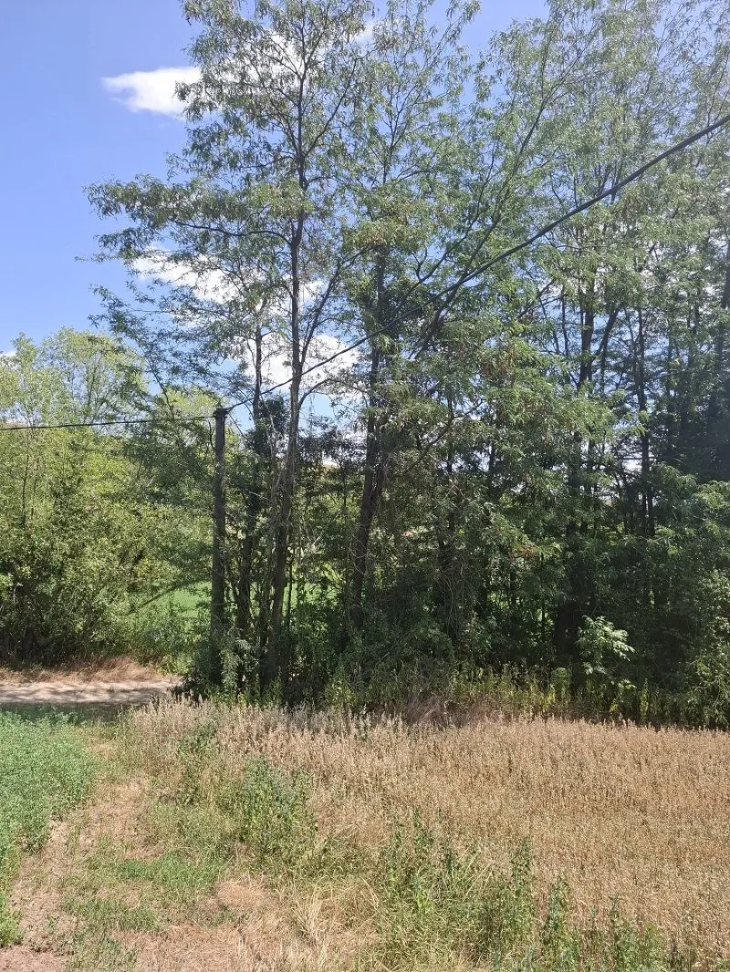 Prodaja, plac, 14200m², Irig, Srbija