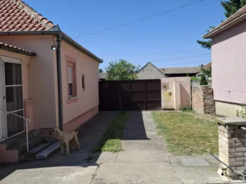 Prodaja, kuća, 150m², Omoljica, Pančevo - image 7