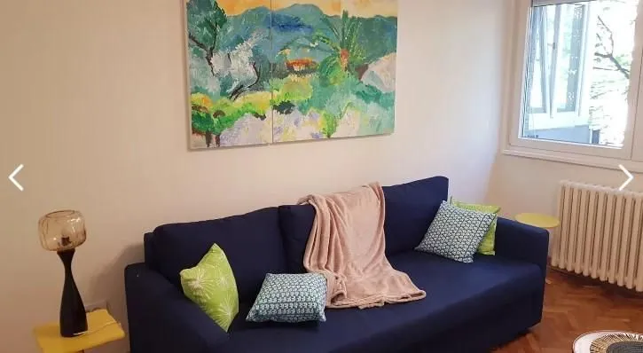 Izdavanje, jednosoban stan, 45m², Vračar Sve Podlokacije, Beograd