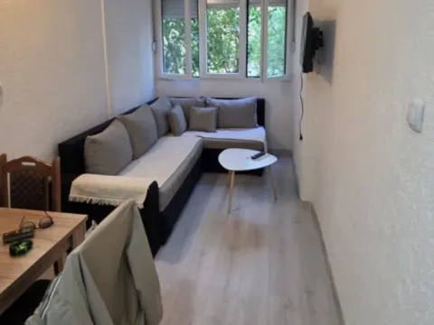 Rent, one bedroom apartment, 31m², Zabjelo, Podgorica - image 5