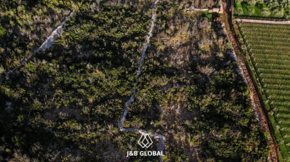 Prodaja, plac, 6516m², Lješevići, Kotor