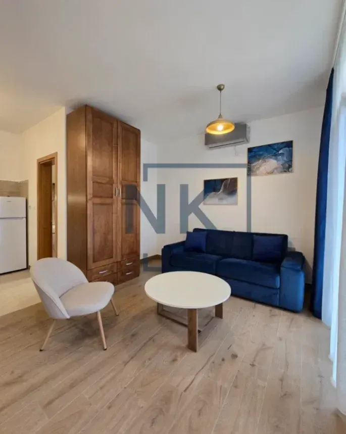 Izdavanje, garsonjera, 25m², Momišići, Podgorica