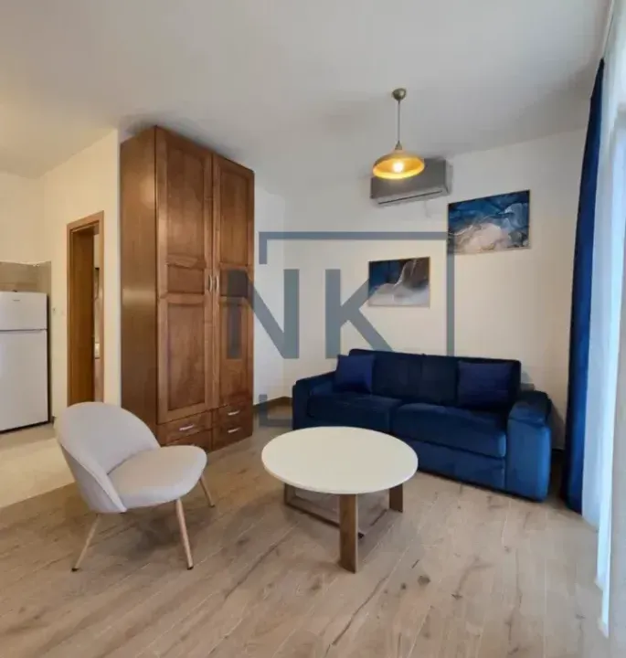 Izdavanje, garsonjera, 25m², Momišići, Podgorica