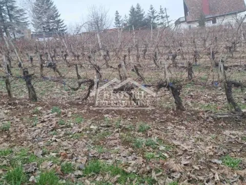 Prodaja, plac, 2000m², Brestovik, Grocka - image 11