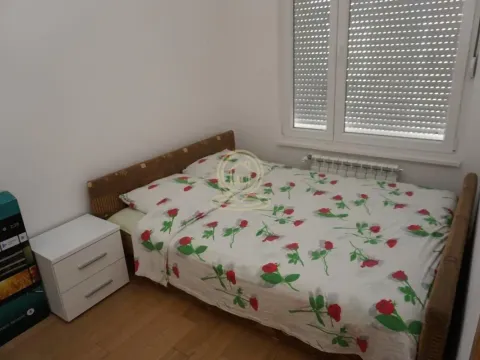 Izdavanje, dvosoban stan, 43m², Zemun Sve Podlokacije, Beograd - image 5
