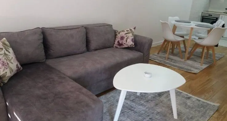 Izdavanje, jednosoban stan, 47m², Central Point, Podgorica