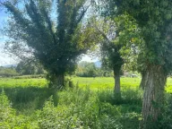 Prodaja, plac, 2737m², Kosić, Danilovgrad - image 5