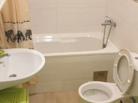 Izdavanje, dvosoban stan, 38m², Centar, Novi Sad - image 5