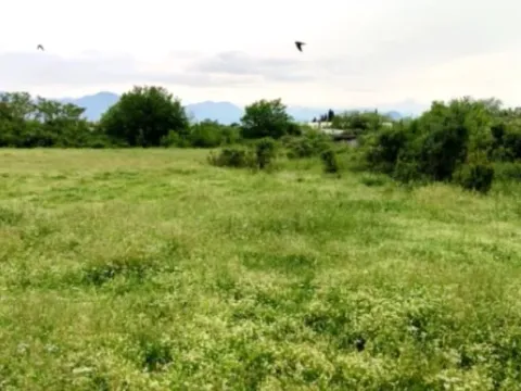 Prodaja, plac, 6673m², Donja Gorica, Podgorica - image 2