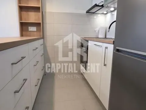 Izdavanje, stan, 26m², Zvezdara Sve Podlokacije, Beograd - image 3