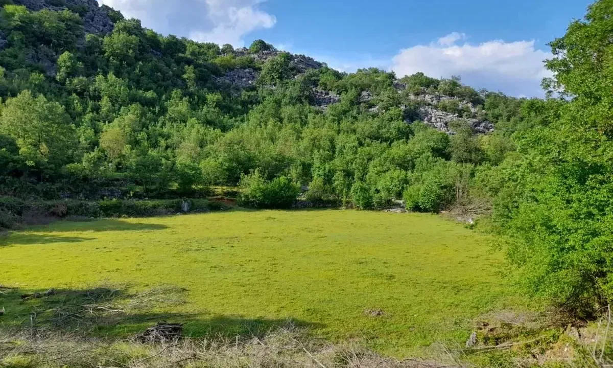 Sale, land lot, 240000m², Štitari, Cetinje