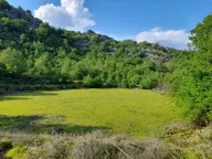 Sale, land lot, 240000m², Štitari, Cetinje - image 1