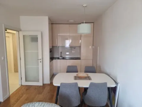 Izdavanje, jednosoban stan, 50m², Central Point, Podgorica - image 2