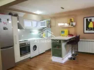 Rent, house, 220m², Bezanijska Kosa 1, Bežanijska Kosa Sve Podlokacije - image 6