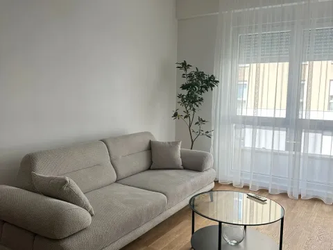 Rent, one bedroom apartment, 45m², Zabjelo, Podgorica - image 1