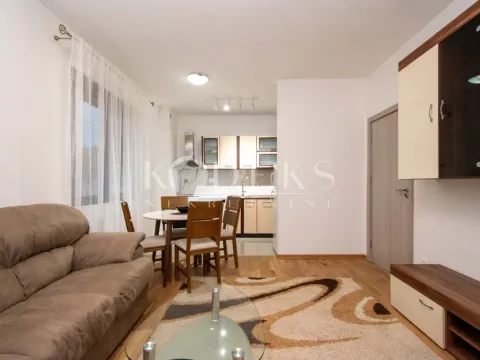 Izdavanje, jednosoban stan, 44m², Zabjelo, Podgorica - image 3