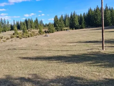 Prodaja, plac, 7800m², Žabljak, Crna Gora - image 6