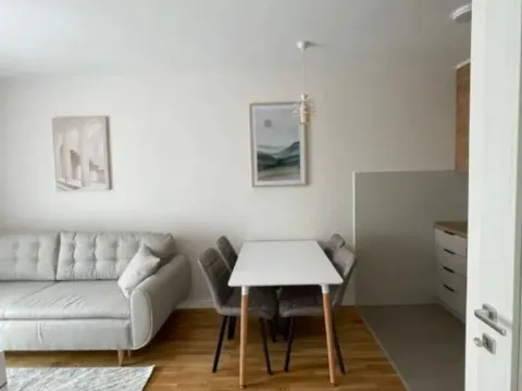 Izdavanje, jednosoban stan, 45m², Pobrežje, Podgorica - image 5