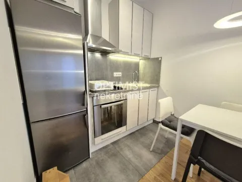 Izdavanje, dvosoban stan, 40m², Južni Bulevar, Vračar Sve Podlokacije - image 4