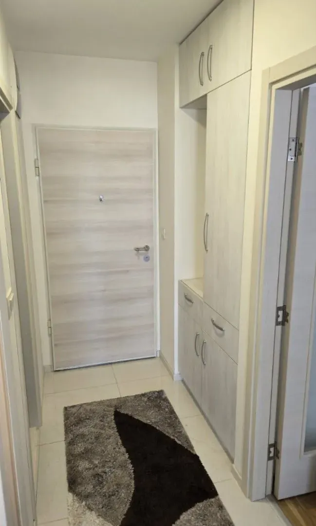 Rent, one bedroom apartment, 44m², Zagorič, Podgorica